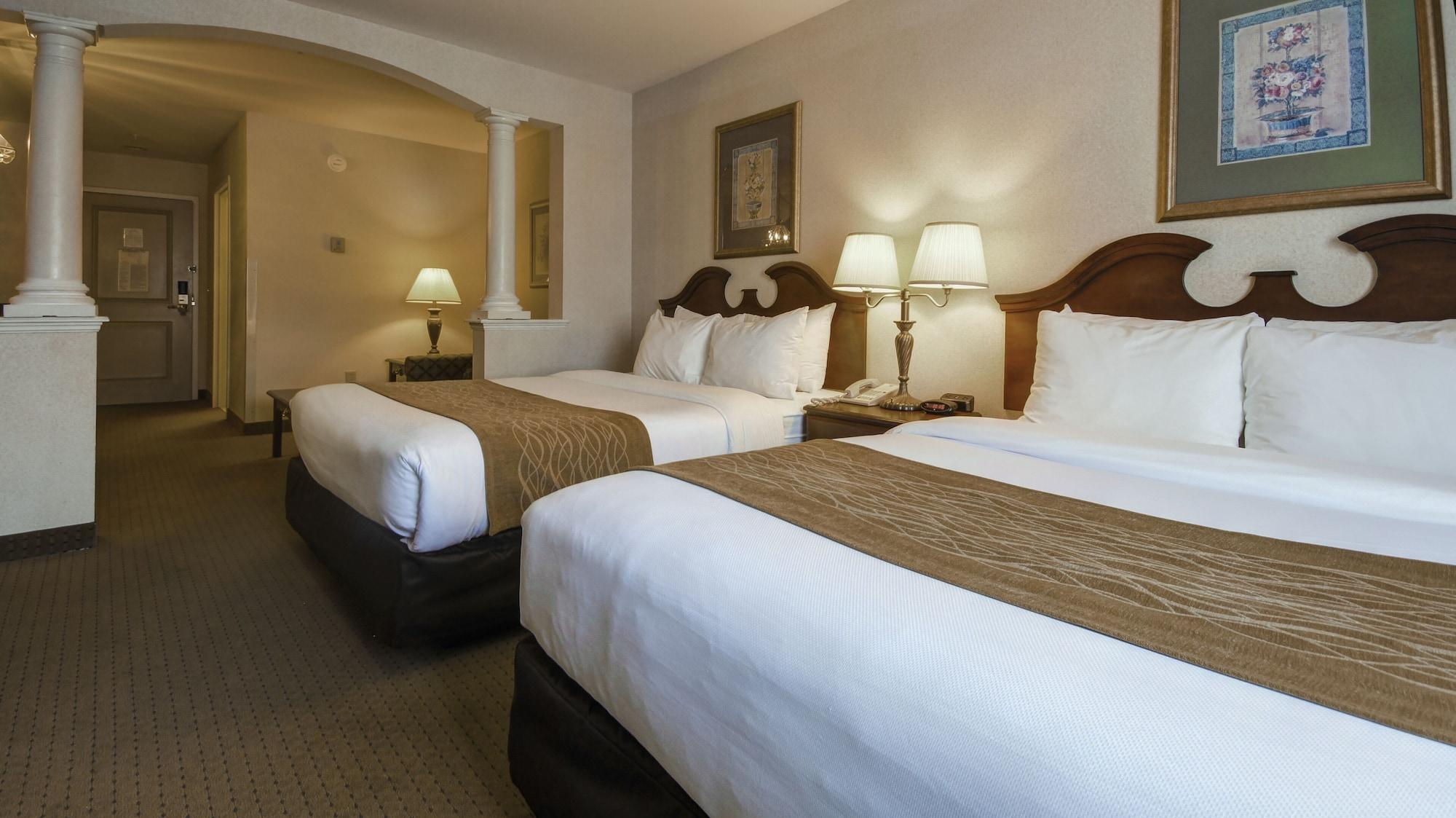 Hotel Comfort & - Albany
