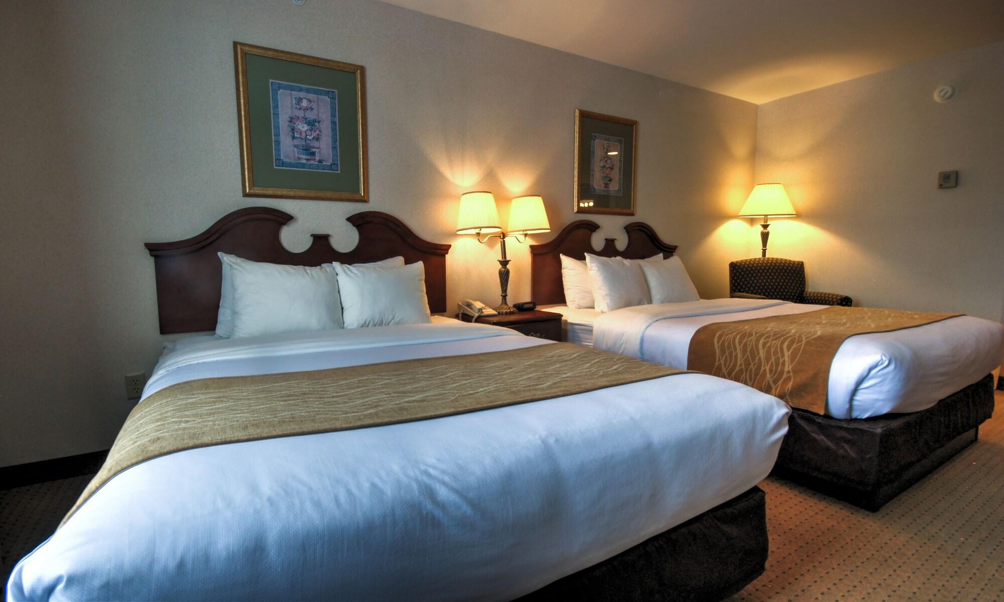Hotel Comfort & - Albany 3*