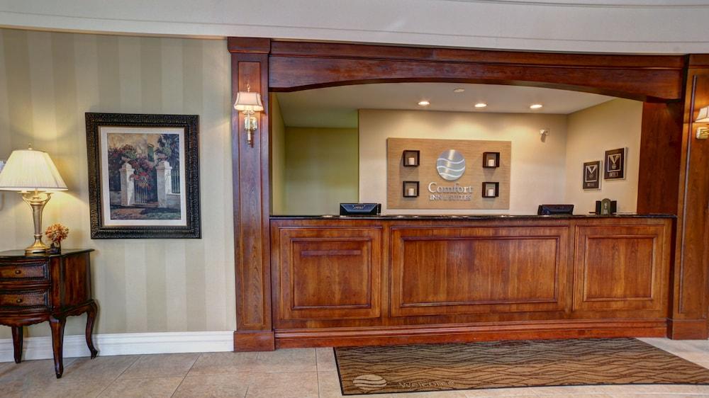 Hotel Comfort & - Albany
