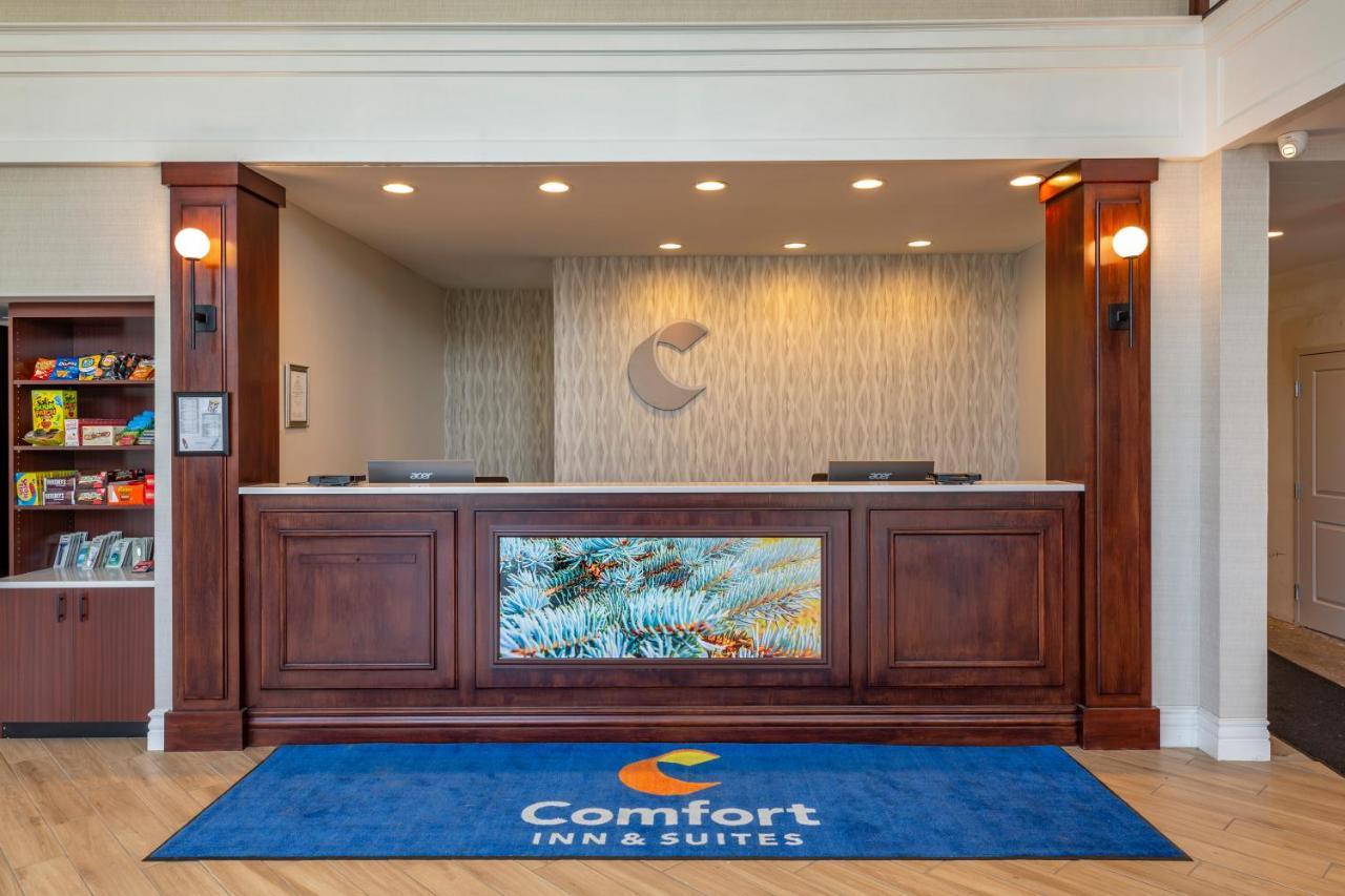 Comfort & - Albany