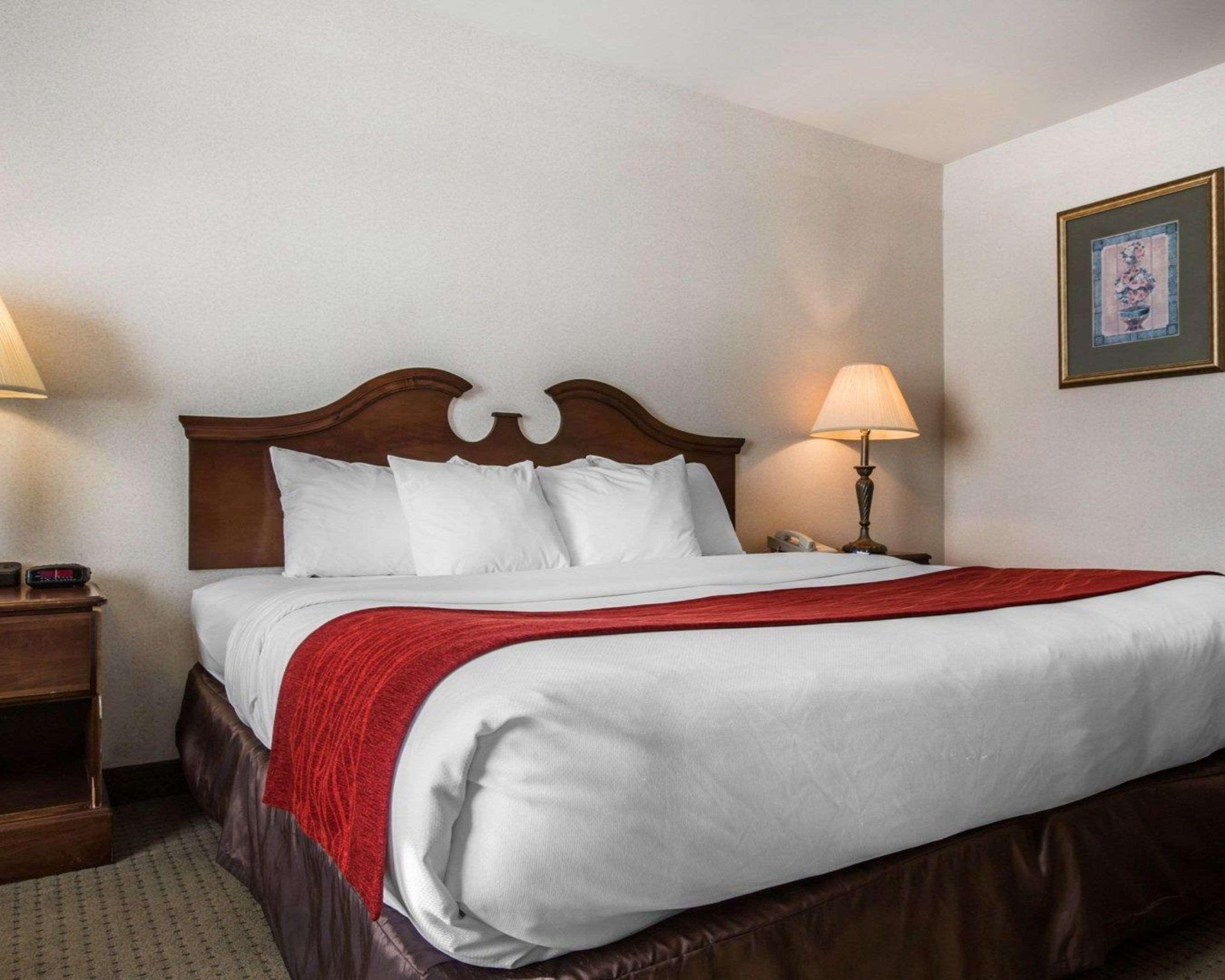 Comfort & - Albany Hotel