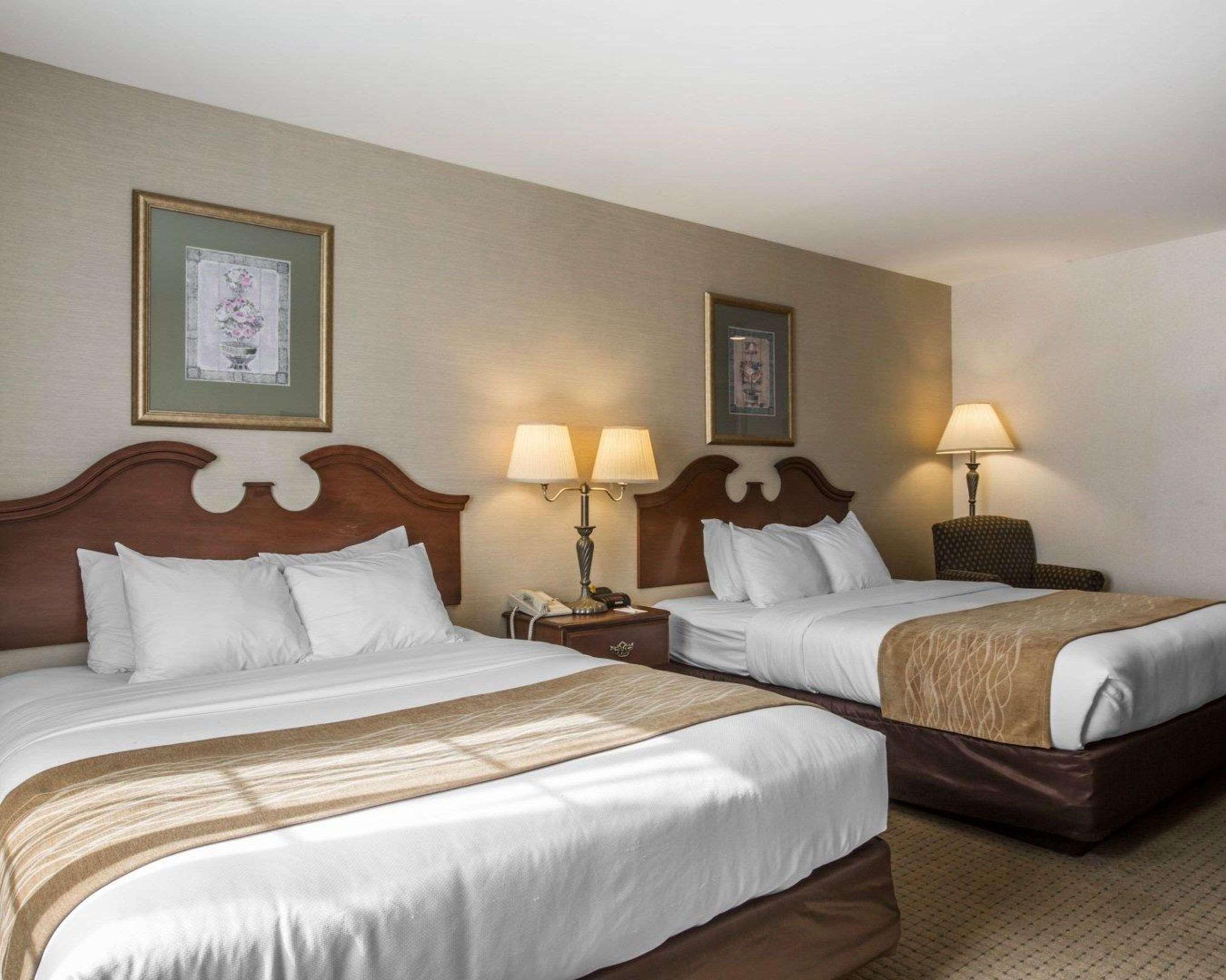 Comfort & - Albany Hotel