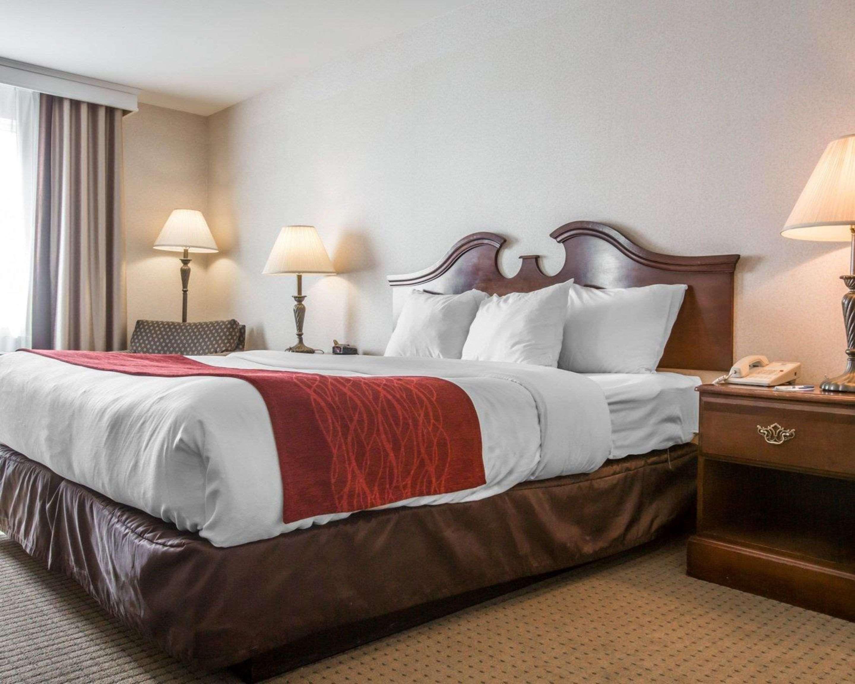 Comfort & - Albany Hotel 3*