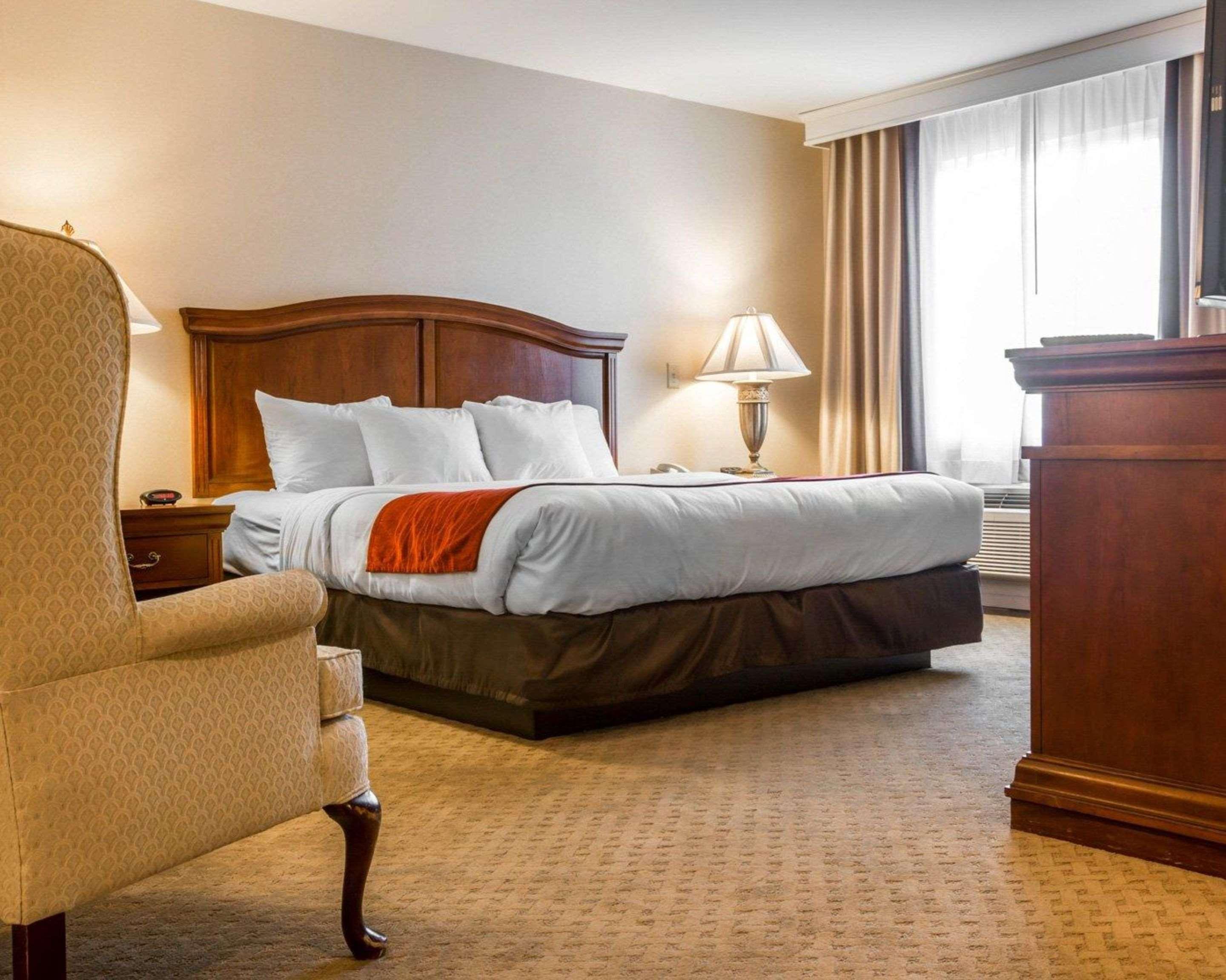 Comfort & - Albany Hotel East Greenbush