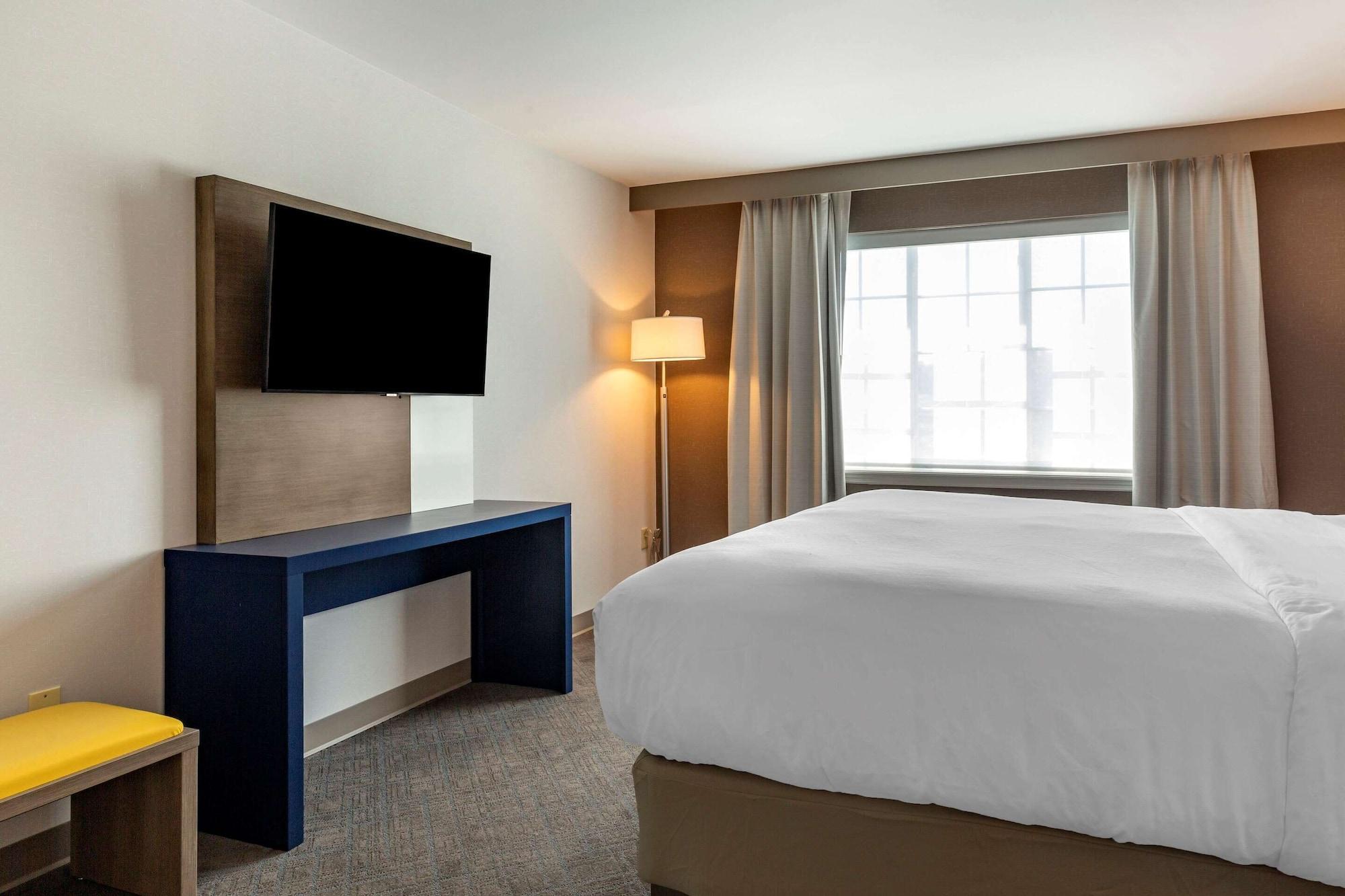 Comfort & - Albany Hotel East Greenbush