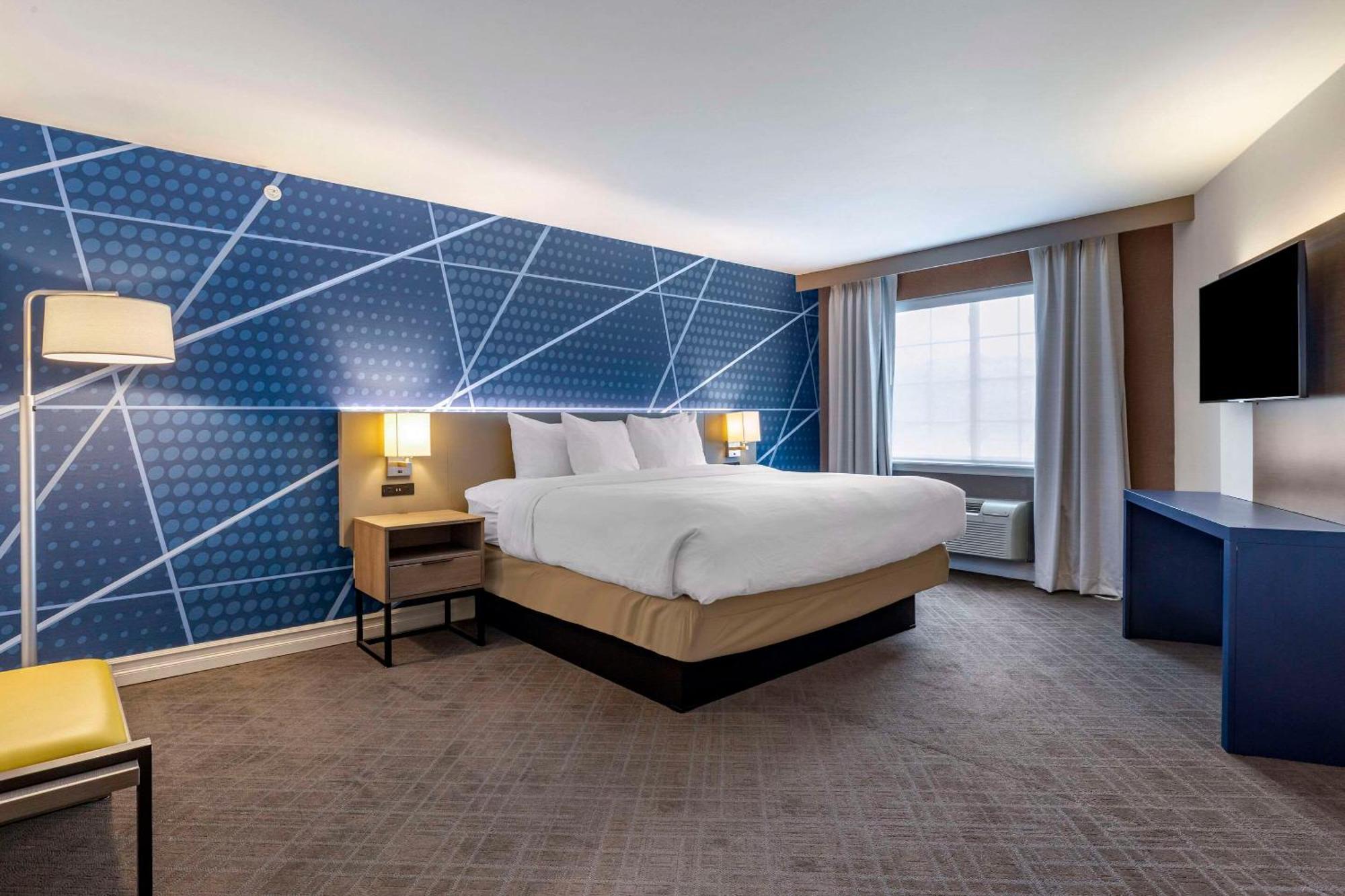 Hotel Comfort & - Albany